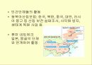사막화의 원인과 그에 따른 영향 및 피해사례와 대처방안 연구 24페이지