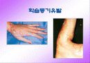 초등학교 소방안전교육 프로그램 33페이지