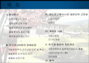 일본문화의이해-장인정신- 2페이지