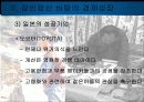 일본문화의이해-장인정신- 11페이지