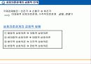 국제PR과 국제관계론에 대한 연구 28페이지