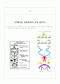 아레시보 메시지 해독 3페이지