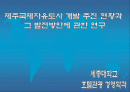제주국제자유도시 개발 현황과 그 발전 방향에 관한 연구 1페이지