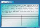 제주국제자유도시 개발 현황과 그 발전 방향에 관한 연구 26페이지