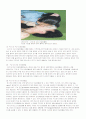 심폐소생술 32페이지