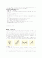 일본의 음식문화 5페이지