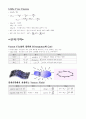 물리 총정리 10페이지