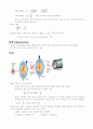 물리 총정리 18페이지