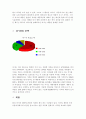 미샤화장품의 마케팅전략 연구 레포트 8페이지