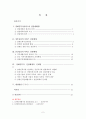 장애인복지서비스 전달체계에 대한 분석 2페이지