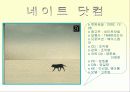 좋은광고와 나쁜광고 9페이지