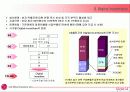 LG전자의 인사제도(LG Electronics HRM)-엘지전자의 모든면 35페이지