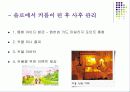 ★[A+사업계획서]신개념미팅사이트(발표용자료)★ 31페이지