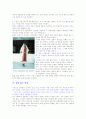 여성의 베일과 의상 3페이지