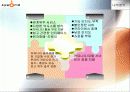 싸이월드의 인터넷 마케팅 전략 8페이지