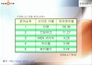 싸이월드의 인터넷 마케팅 전략 9페이지