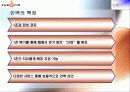 싸이월드의 인터넷 마케팅 전략 20페이지