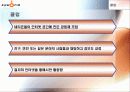 싸이월드의 인터넷 마케팅 전략 21페이지