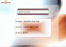 싸이월드의 인터넷 마케팅 전략 25페이지