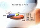 싸이월드의 인터넷 마케팅 전략 27페이지