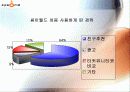 싸이월드의 인터넷 마케팅 전략 28페이지