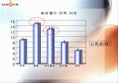 싸이월드의 인터넷 마케팅 전략 29페이지