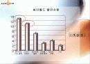 싸이월드의 인터넷 마케팅 전략 30페이지