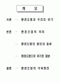 환경과 삶- 환경오염과 질병 2페이지