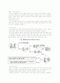 불확실성에 대응하는 기업의 경영전략 10페이지