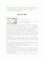 NGO 비정부기구 조사자료 14페이지
