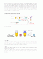 발효유 시장 동향과 전망 5페이지