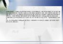 IMT-2000 이동통신 19페이지
