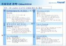 영타겟 공략을 위한 애니콜 마케팅커뮤니케이션 전략 26페이지