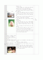 병아리 부화 실험 지도안 8페이지