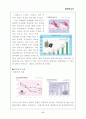 환경 보고서 17페이지