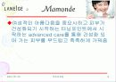 라네즈의 아시아 시장 진출 성공사례 16페이지