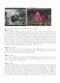 시대변화와 광고크리에이티브 변화 12페이지