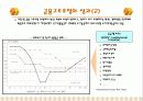금융기업 구조조정 15페이지
