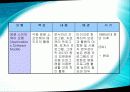 우리나라 컴퓨터 교육과정의 현황 39페이지