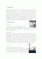 환경오염에 관하여 1페이지