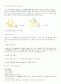 유아안전교육 15페이지