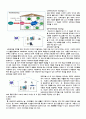 Home Networking 2페이지