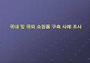 국내, 국외 인터넷 쇼핑몰 비교 분석 1페이지