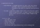 국내, 국외 인터넷 쇼핑몰 비교 분석 11페이지