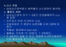 심근경색과 협심증 26페이지