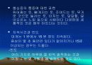심근경색과 협심증 37페이지