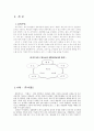 조직구조 구성요소 3페이지