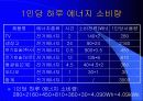 KCU-연도별 에너지 수급현황과 학생의 1인당 에너지 소비 10페이지