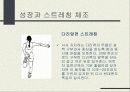 성장호르몬과 운동과의 관계 14페이지