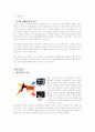 폐경기& 갱년기, 골다공증에 대한 정리 5페이지